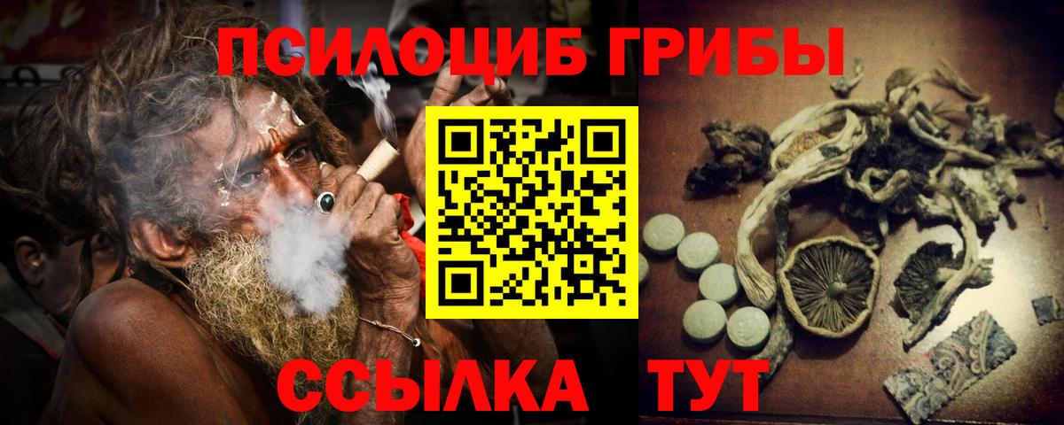 Видное  Псилоцибиновые грибы GOLDEN TEACHER  Вход с VPN  Псилоцибиновые грибы прущие грибы 